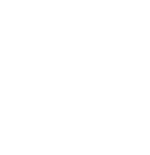 Next.js
